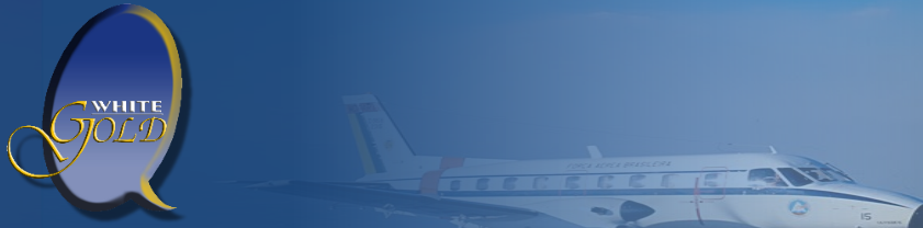 Whitegold Banner Image